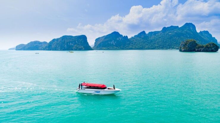 Koh Samui: Pink Dolphin Spotting & Pig Island Speedboat Tour - Activity Highlights