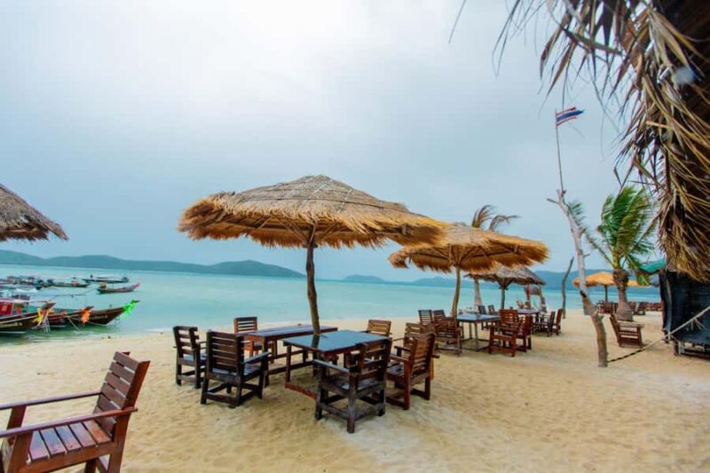 Koh Samui: Pink Dolphin Spotting & Pig Island Speedboat Tour - Who Is This Tour Best For?