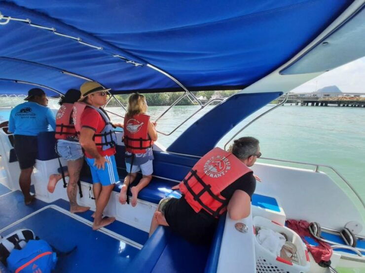Koh Samui: Pink Dolphin Spotting & Pig Island Speedboat Tour - Activity Details