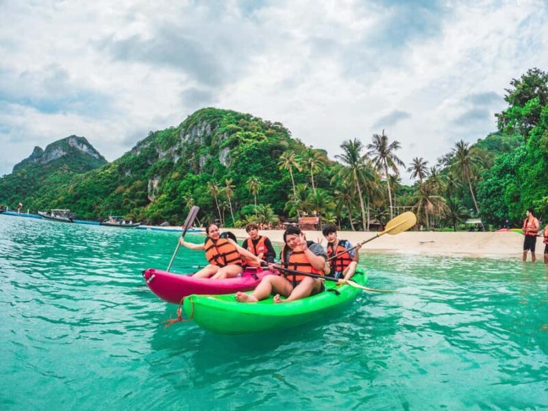 Koh Samui: Pink Dolphin Watching & Snorkeling Tour - Exploring the Experience: What You Can Expect