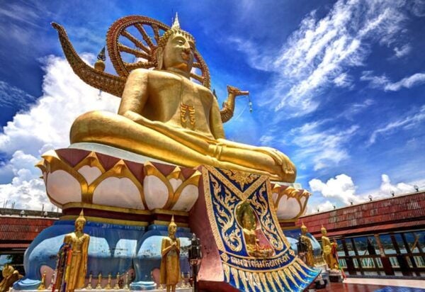 Koh Samui: Private Car or Minibus Rental With Driver - Positive Reviews From Satisfied Customers