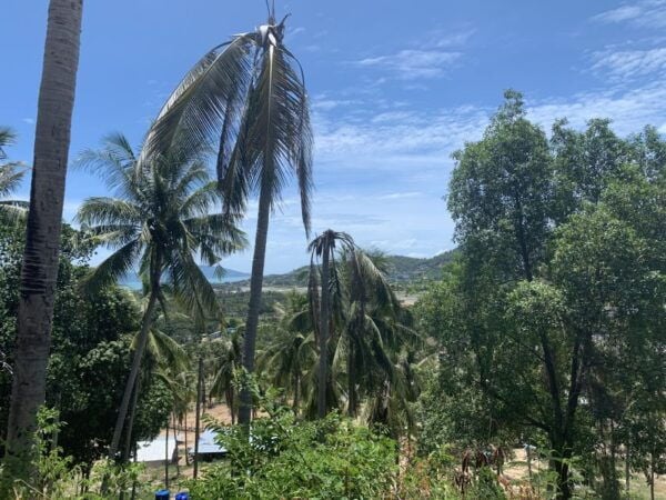 Koh Samui: Private Car or Minibus Rental With Driver - Common Questions