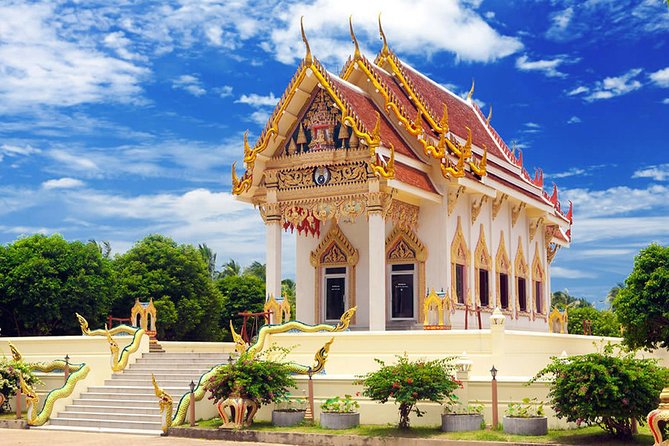 Koh Samui Private Customized Tour With Driver - Experiences and Feedback