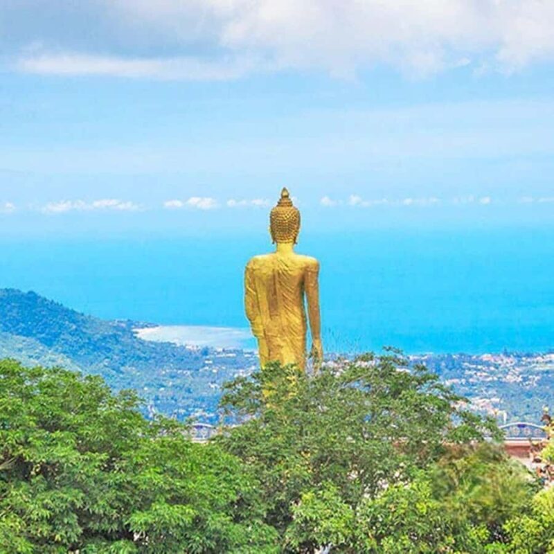 Koh Samui: Private Jungle Safari Tour with Lunch - What to Expect from the Tour