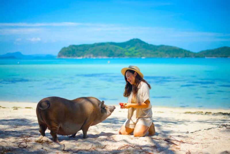 Koh Samui: Private Longtail Boat to Pig Island with Snorkel - Who Would Love This Tour?