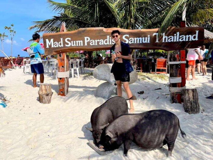 Koh Samui: Private Longtail Boat to Pig Island With Snorkel - Safety Considerations and Important Information