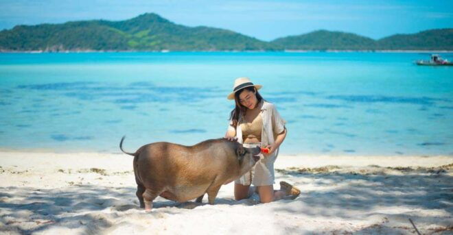 Koh Samui: Private Longtail Tour to Koh Mat Sum (Pig Island) - Highlights of the Tour