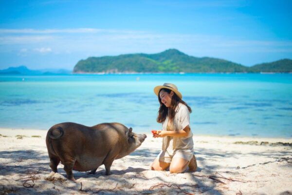 Koh Samui: Private Longtail Tour to Koh Mat Sum (Pig Island) - Tour Schedules and Weather Conditions