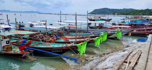 Koh Samui: Private Longtail Tour to Koh Mat Sum (Pig Island) - The Sum Up