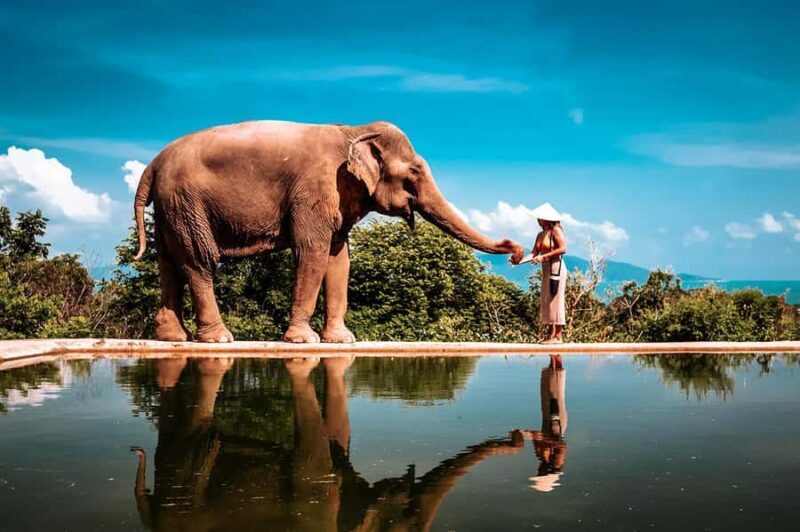 Koh Samui: Private Photoshoot for Couples & Families - Good To Know