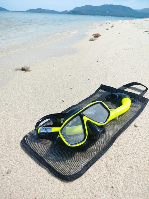 Koh Samui: Private Pig Island & Snorkeling Trip by Speedboat - The Sum Up