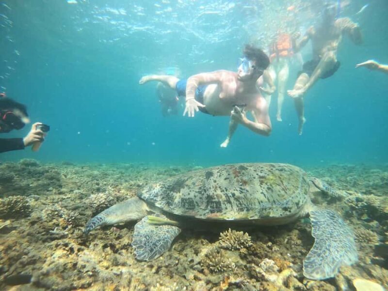 Koh Samui: Private Speedboat Charter  Custom Island Routes - The Sum Up