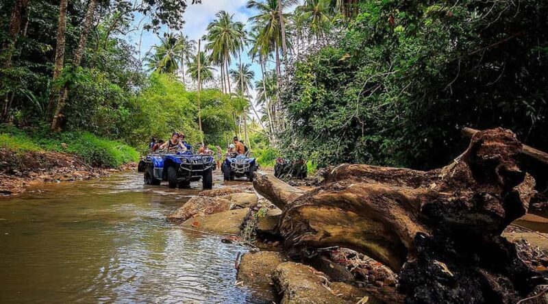 Koh Samui: Quad Bike Safari Tour - Jungle & Waterfall - Good To Know