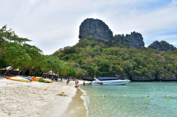 Koh Samui: Speedboat Adventure to Angthongs Hidden Gems - Customer Experiences and Feedback