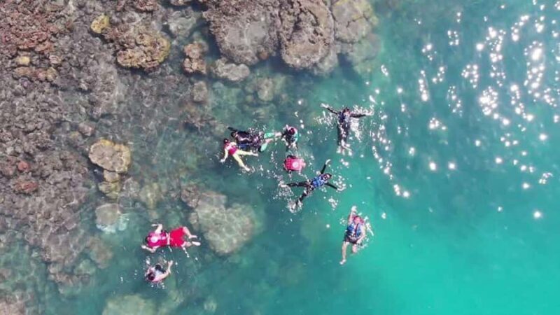 Koh Samui: Sunset Pig Island and Snorkeling Koh Tan w/Dinner - An In-Depth Look at What to Expect