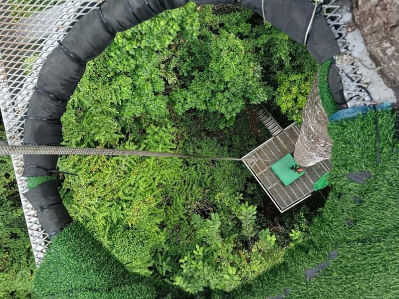 Koh Samui: The Biggest & Longest Jungle Zipline Adventure - Value and Pricing