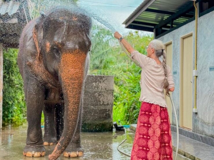 Koh Samui: Unique Iocal Tour & Elephant Sanctuary With Lunch - Activity Details and Booking Information