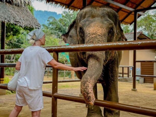 Koh Samui: Unique Iocal Tour & Elephant Sanctuary With Lunch - Visit Koh Samui: A Must-Do Experience