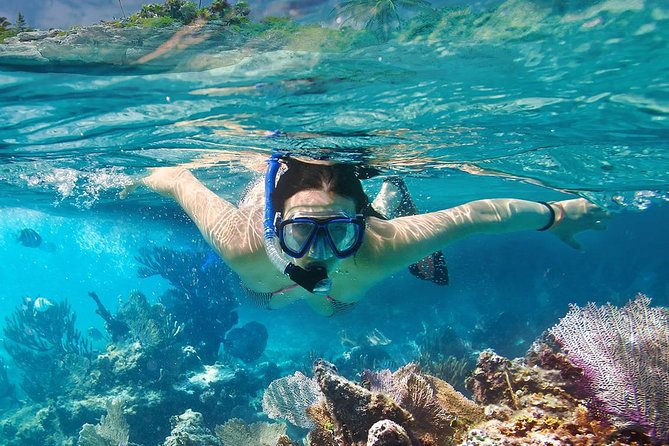 Koh Taen & Mudsum: Island Hopping and Snorkeling From Koh Samui - Common Questions