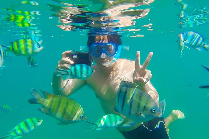 Koh Talu Full Day Shared Experience With Lunch - Common Questions