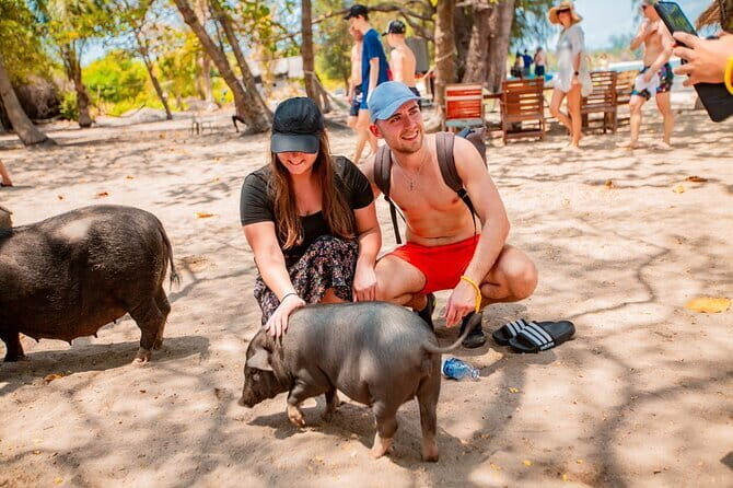 Koh Tan and Pig Island Half-Day Tour by Speed Catamaran - Good To Know