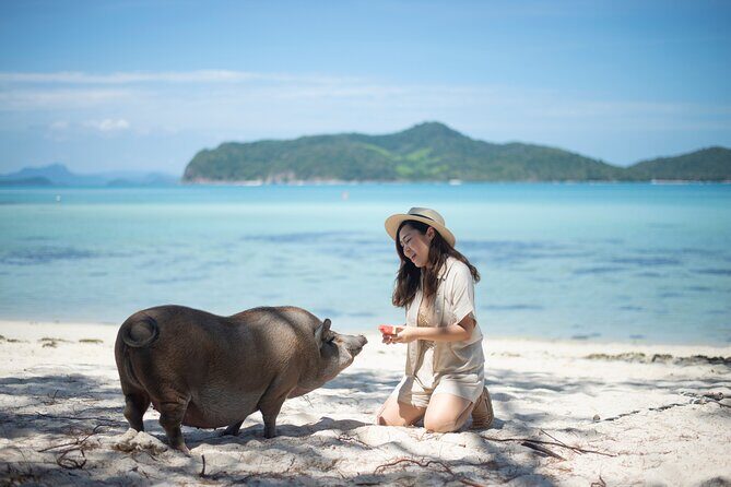 Koh Tan and Pig Island Tour with Sunset Cruise - FAQ