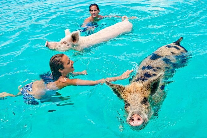 Koh Tan & Koh Madsum (Pig Island) by Private Longtail Boat - Tour Details