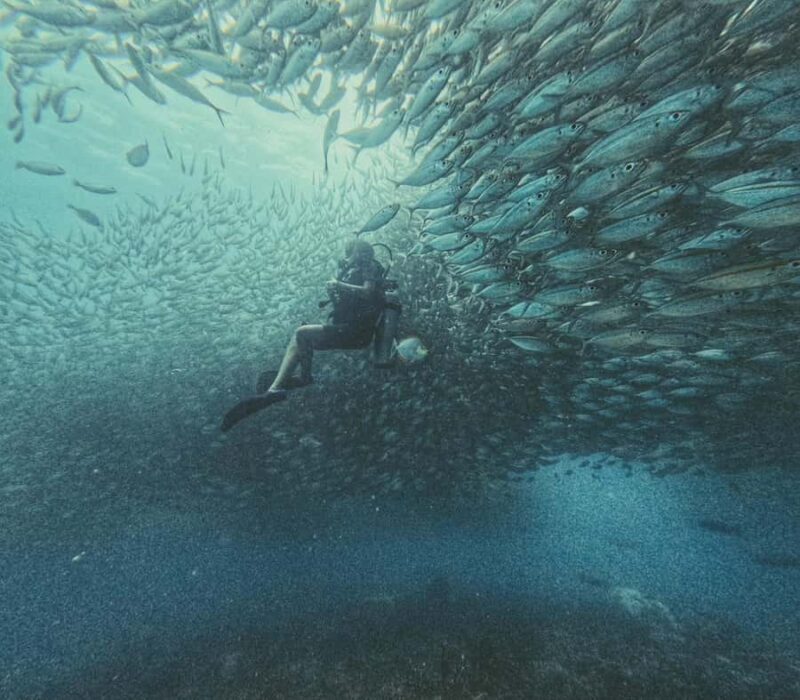 Koh Tao: Advance Open Water Diver 2 Days Course - An In-Depth Look at the Koh Tao Advanced Open Water Diver Course