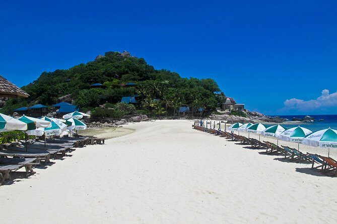 Koh Tao and Koh Nang Yuan Snorkel Tour (Speedboat from Koh Samui) - The Pros and Cons