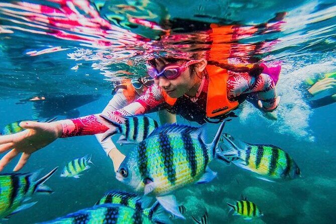 Koh Tao and Koh Nang Yuan Snorkel Tour (Speedboat from Koh Samui) - An Honest Look at the Itinerary and What to Expect