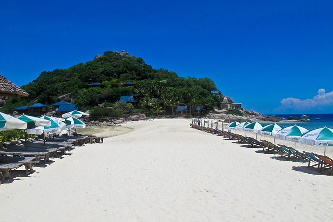 Koh Tao and Koh Nang Yuan Snorkel Tour (Speedboat From Koh Samui) - Snorkeling Experience and Highlights