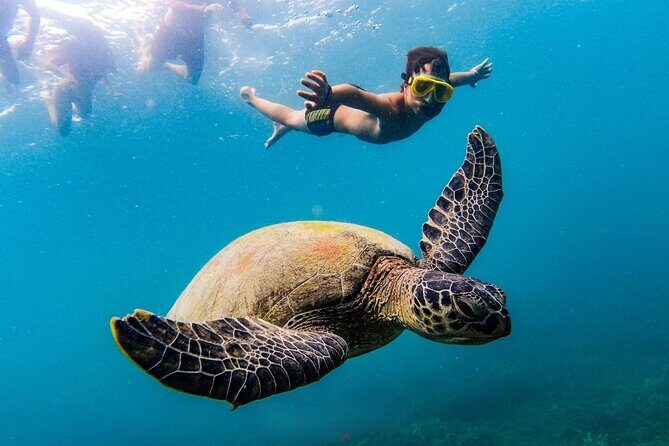 Koh Tao and Koh Nang Yuan Snorkeling Trip - What’s Included — and What’s Not