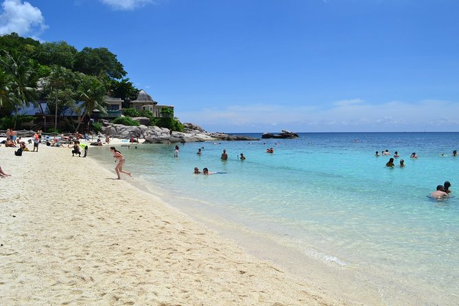 Koh Tao and Koh Nang Yuan Snorkeling Trip By Speedboat From Koh Samui - Assistance and Contact Information