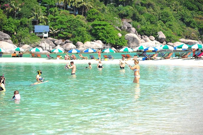 Koh Tao and Koh Nang Yuan Speedboat Tour From Koh Samui - Traveler Photos