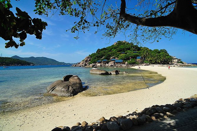 Koh Tao and Koh Nang Yuan Speedboat Tour From Koh Samui - Additional Information