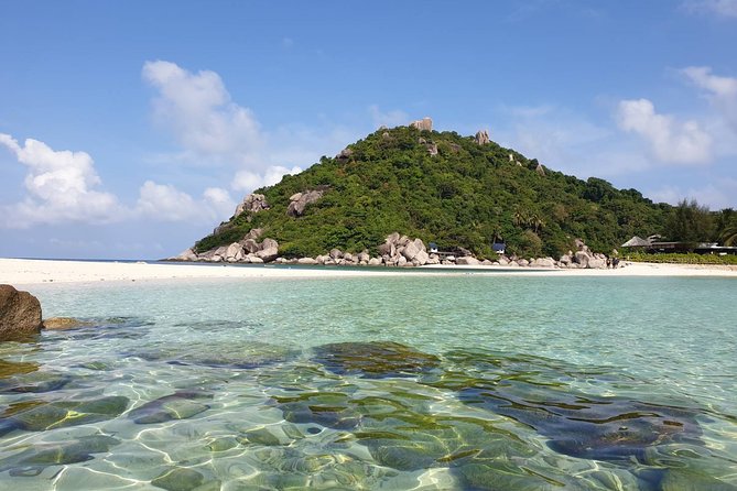 Koh Tao and Koh Nangyuan Premium Trip By Speedboat From Koh Samui - Alternative Options and Contingencies