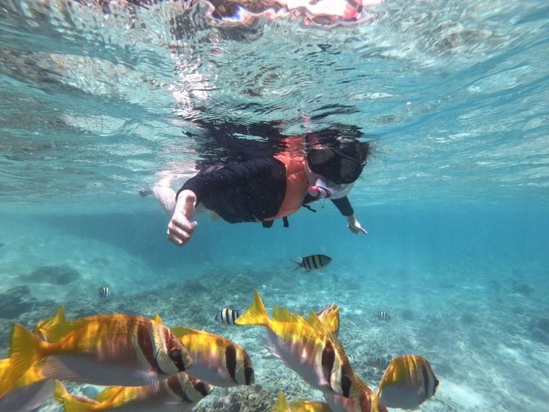 Koh Tao and Koh Nangyuan Snorkeling Adventure from Koh Pha Ngan - A long lunch on Koh Nang Yuan