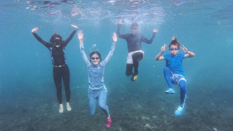Koh Tao: First Light Snorkel Adventure with Oxygen Tours - Good To Know