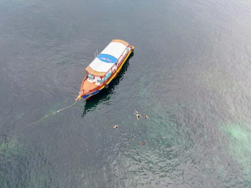 Koh Tao: First Light Snorkel Adventure with Oxygen Tours - Good To Know  