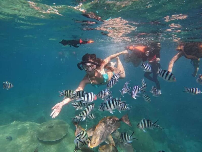 Koh Tao: Full-Day Snorkeling Tour with Lunch & Hotel Pick-up - FAQ