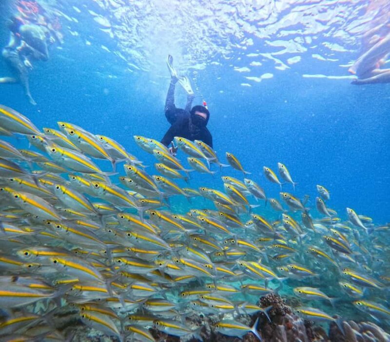 Koh Tao: Half-Day Sunset Snorkeling Tour with Lunch & Pickup - Good To Know