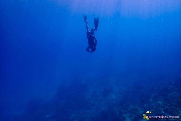 Koh Tao: Islands Snorkeling Highlights Day Tour & Lunch - Activity Details