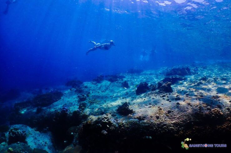 Koh Tao: Islands Snorkeling Highlights Day Tour & Lunch - Experience Highlights