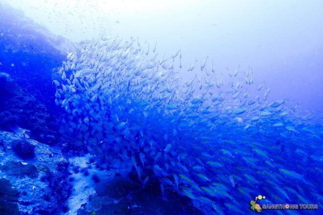 Koh Tao: Islands Snorkeling Highlights Day Tour & Lunch - Inclusions