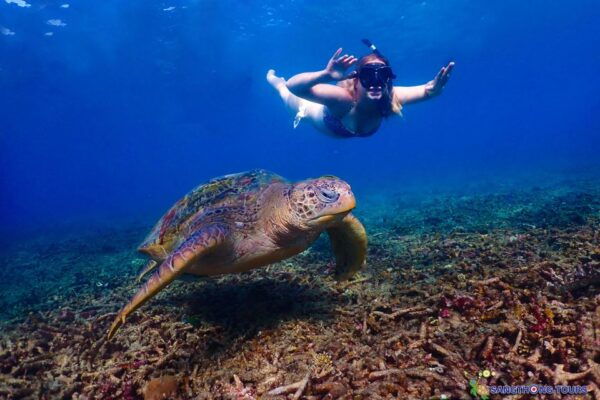 Koh Tao: Islands Snorkeling Highlights Day Tour & Lunch - The Sum Up