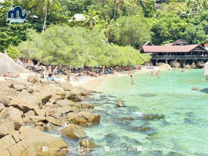 Koh Tao & Koh Nang Yuan: Snorkel the Sparkling Seas - Authentic Feedback from Travelers
