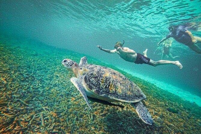 Koh Tao, Koh Nangyuan and Hidden Bays Snorkeling with Lunch - Good To Know  