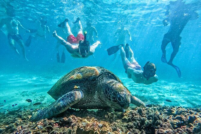 Koh Tao, Koh Nangyuan and Hidden Bays Snorkeling with Lunch - The Experience in Detail
