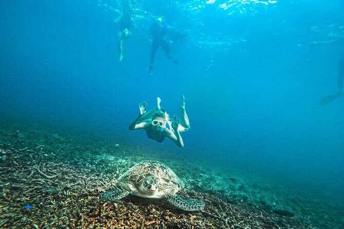 Koh Tao, Koh Nangyuan and Hidden Bays Snorkeling with Lunch - Who Should Consider This Tour?