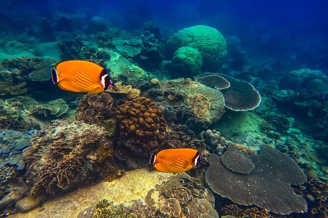 Koh Tao, Koh Nangyuan and Hidden Bays Snorkeling with Lunch - FAQ